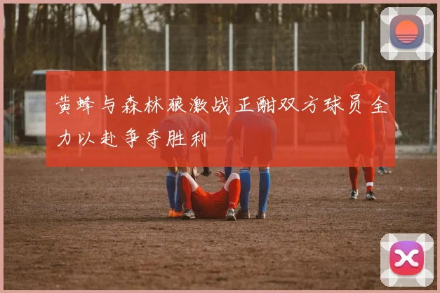 黄蜂与森林狼激战正酣双方球员全力以赴争夺胜利