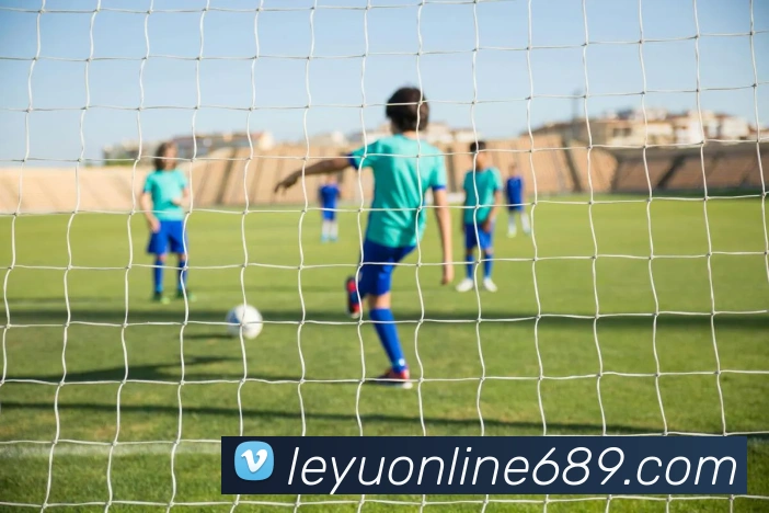 乐鱼体育发展历程